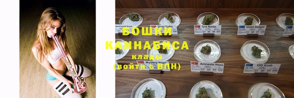 ПСИЛОЦИБИНОВЫЕ ГРИБЫ Балахна