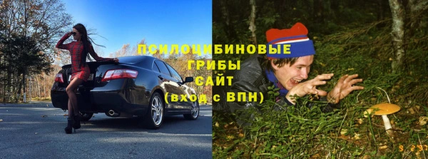 ПСИЛОЦИБИНОВЫЕ ГРИБЫ Балахна