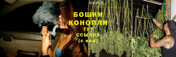 ПСИЛОЦИБИНОВЫЕ ГРИБЫ Балахна