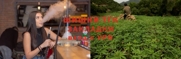 ПСИЛОЦИБИНОВЫЕ ГРИБЫ Балахна