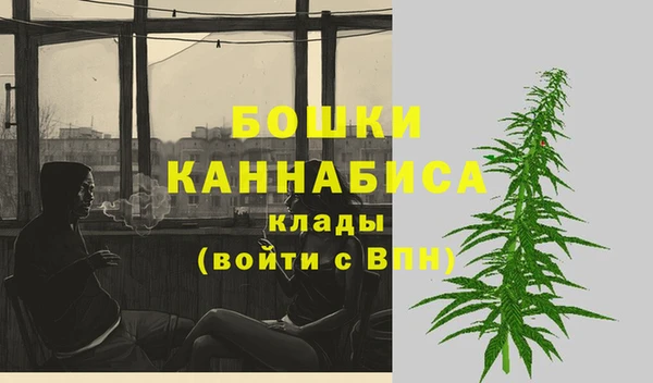 ПСИЛОЦИБИНОВЫЕ ГРИБЫ Балахна
