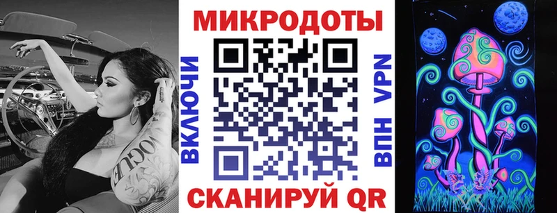 Псилоцибиновые грибы Psilocybe  Щёкино 
